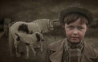 725 - GYPSY HORSE FAIR - HARRISON COLIN - united kingdom